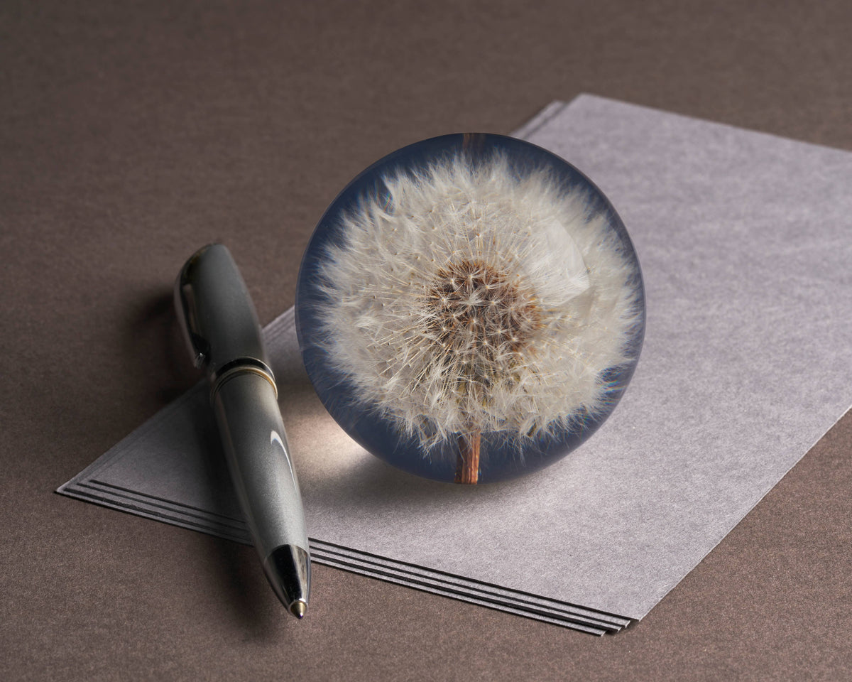 Voikukka - Dandelion Paperipaino