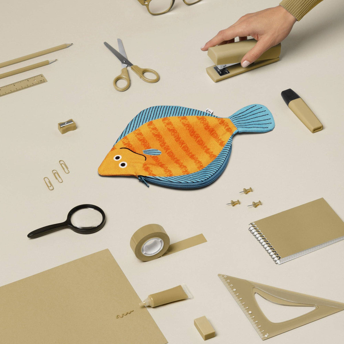 Plaice - kampela