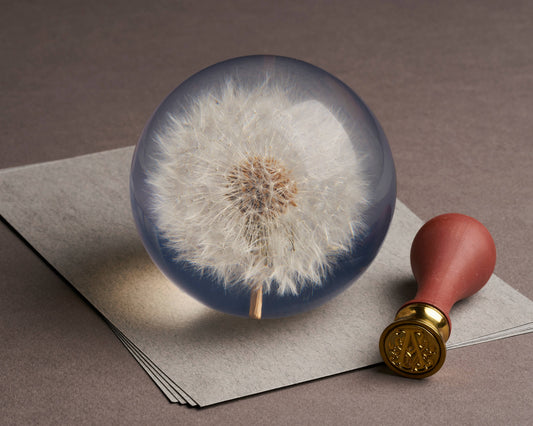Voikukka - Dandelion Paperipaino